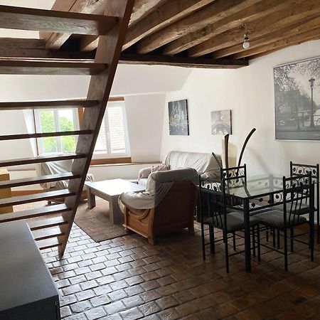 Appartement Tout Confort En Centre-Ville Cosne-Cours-Sur-Loire Ngoại thất bức ảnh